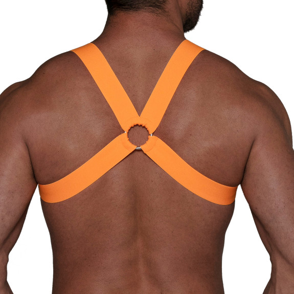 Fetish Harness Neon Orange from the back with a crossback