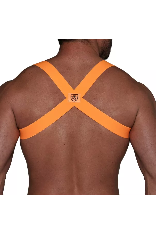 Harness Neon Orange from the back