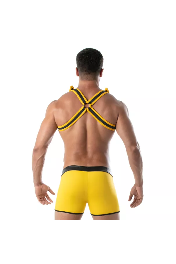 Neoprene Bulldog harness Yellow