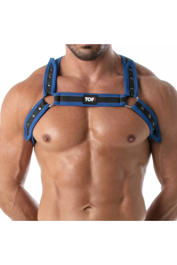 Neoprene Bulldog harness Blue