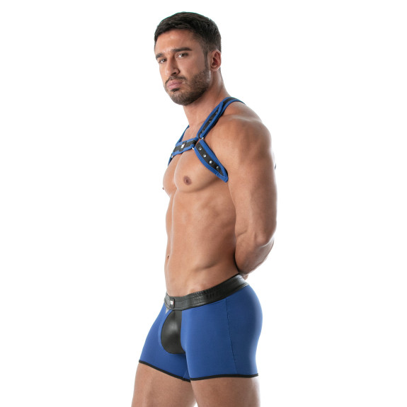Neoprene Bulldog harness Blue