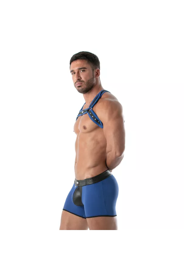 Neoprene Bulldog harness Blue