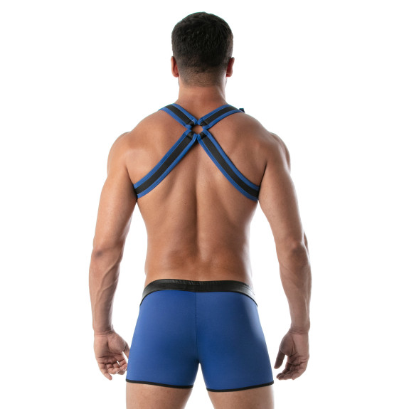 Neoprene Bulldog harness Blue