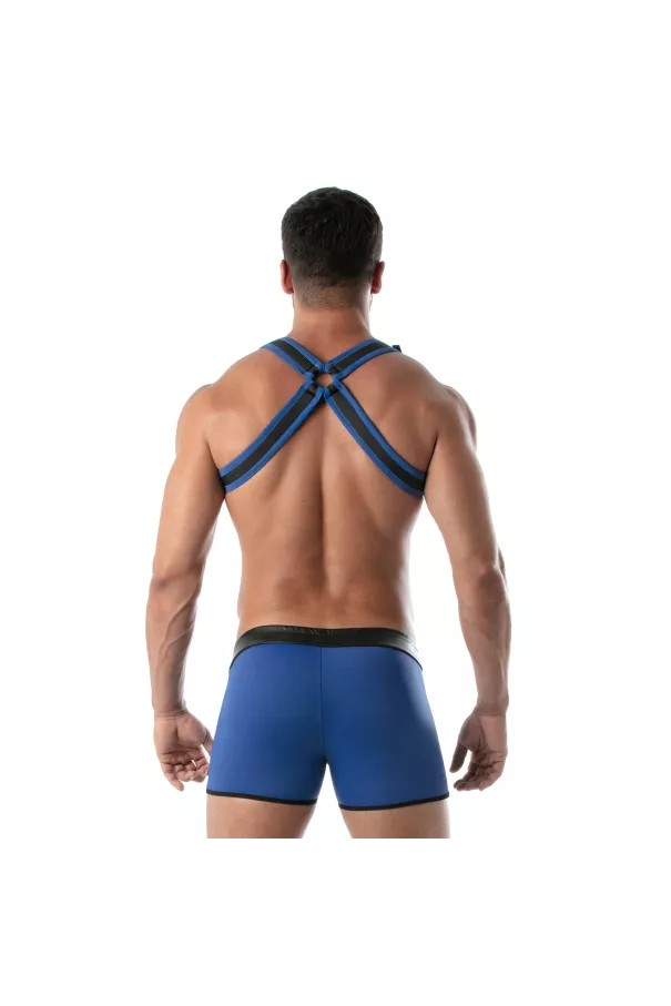 Neoprene Bulldog harness Blue