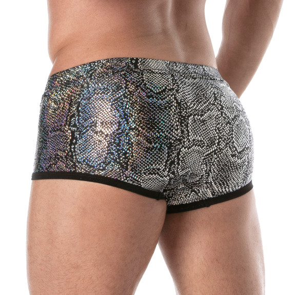 Splendid Swim Trunks Silver