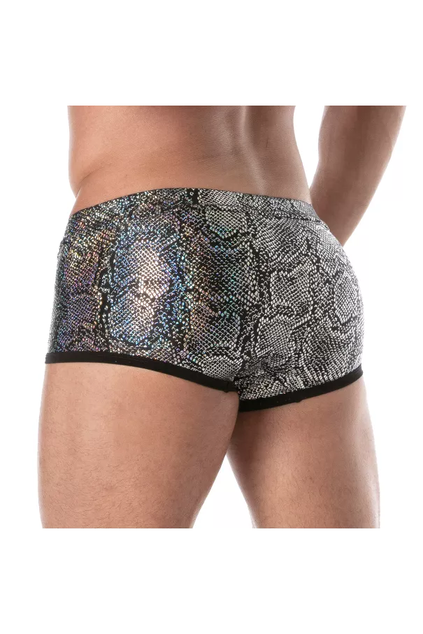 Splendid Swim Trunks Silver
