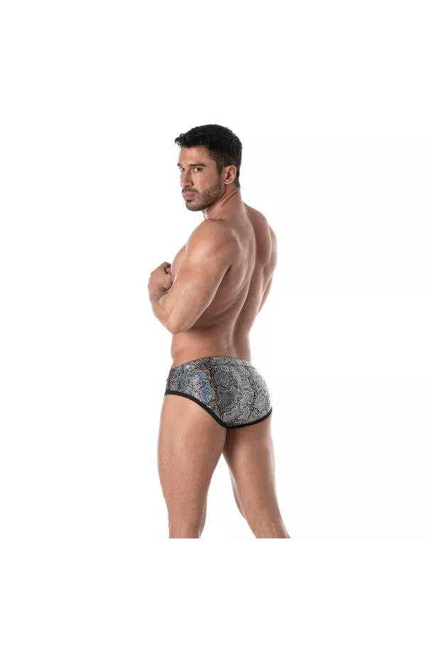Splendid Swim Briefs Silver