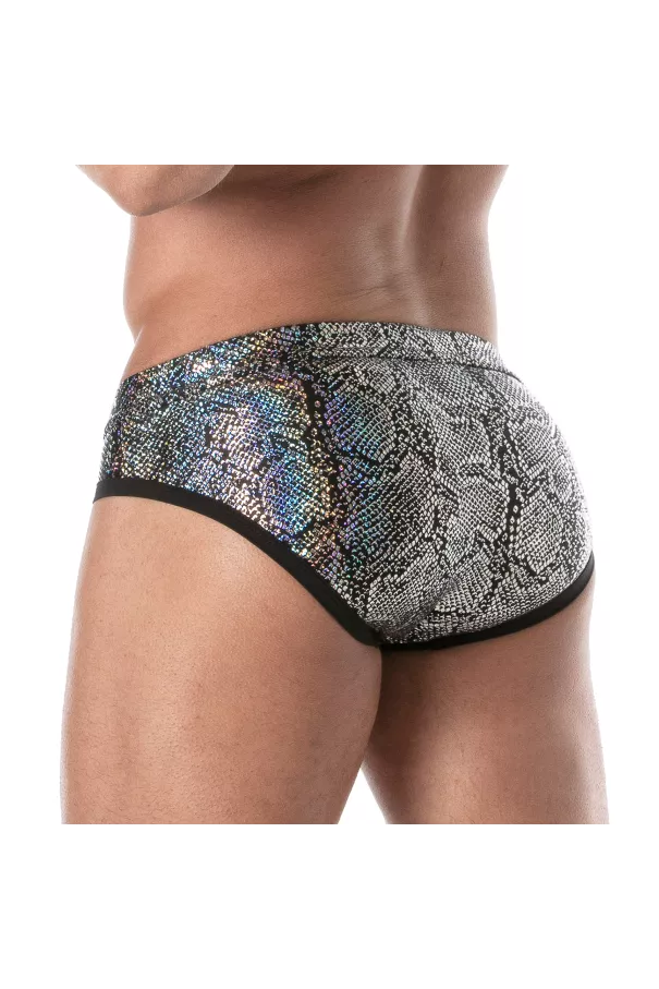 Splendid Swim Briefs Silver