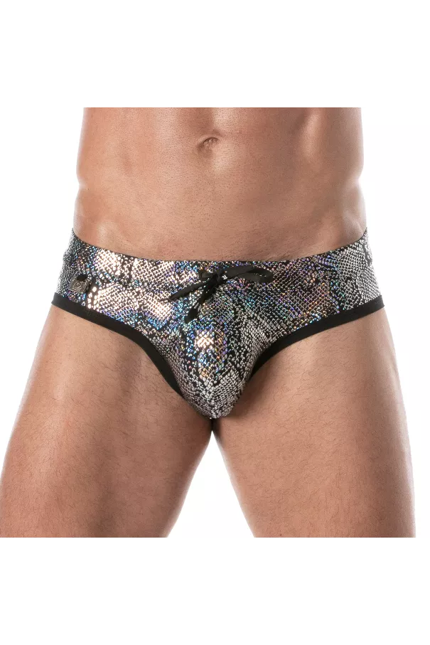Splendid Swim Briefs Silver