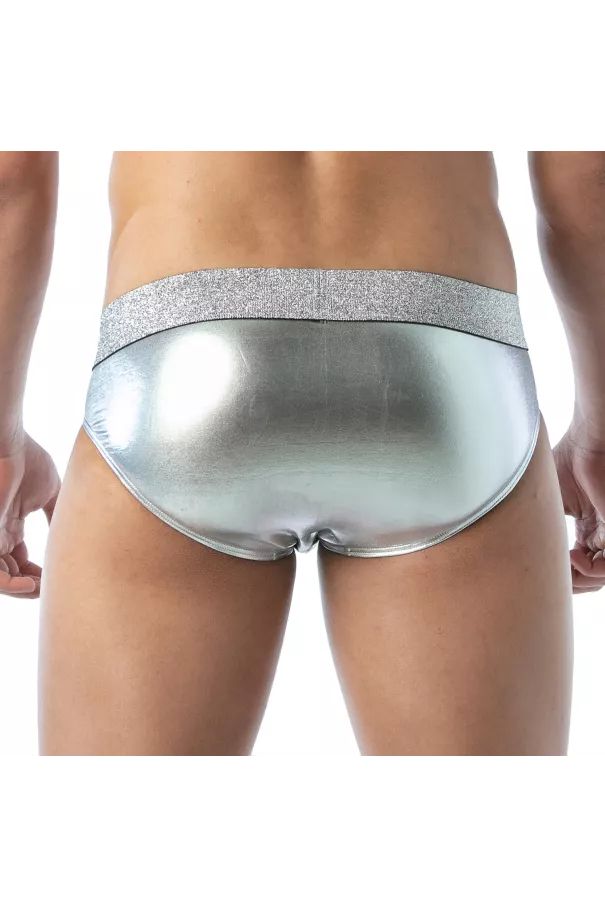 brief silver from back