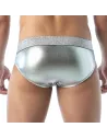 brief silver from back