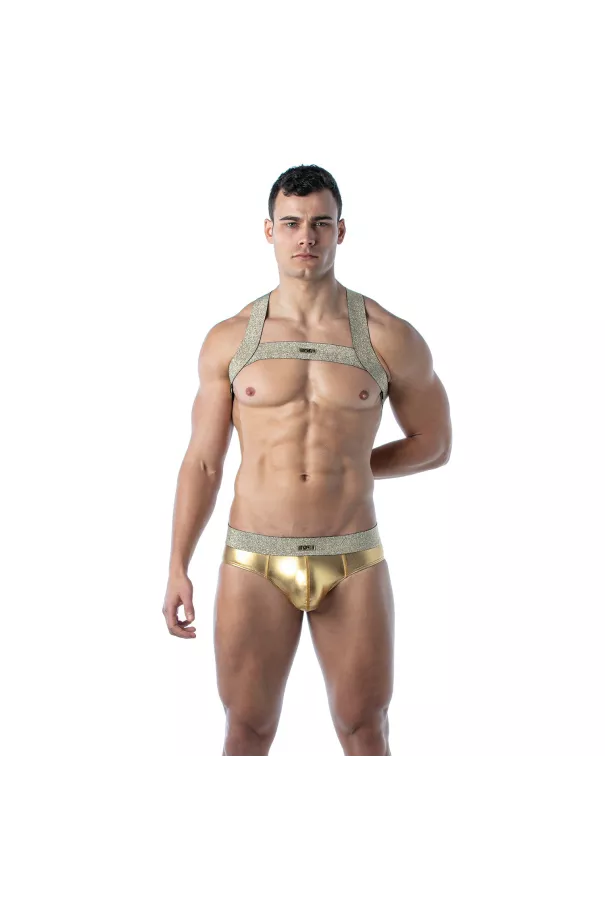Magic H Harness Gold – Sexy and Trendy Men’s Harness | TOF Paris