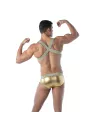 Magic H Harness Gold
