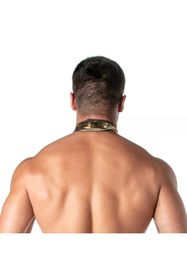 Glitter Collar Gold for men