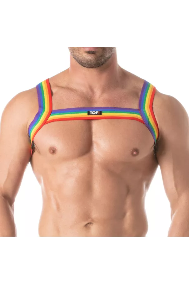 Rainbow Chest Harness