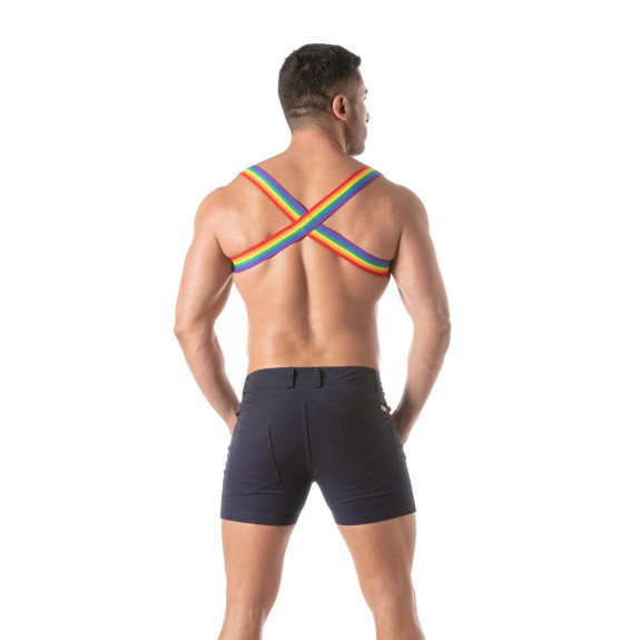 FROM THE BACK Rainbow Chest Harness