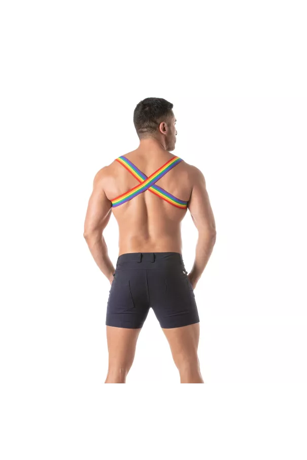 FROM THE BACK Rainbow Chest Harness