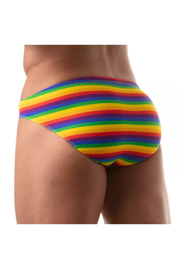 Rainbow Swim Bikini FOR GAY MEN FROM THE BACK