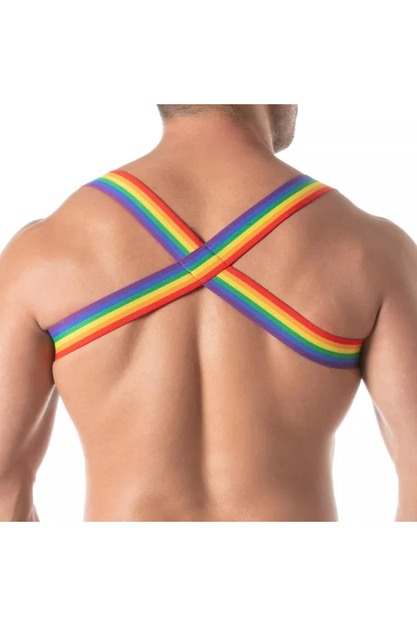 Rainbow Shoulder Harness Back