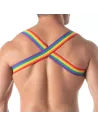 Rainbow Shoulder Harness Back