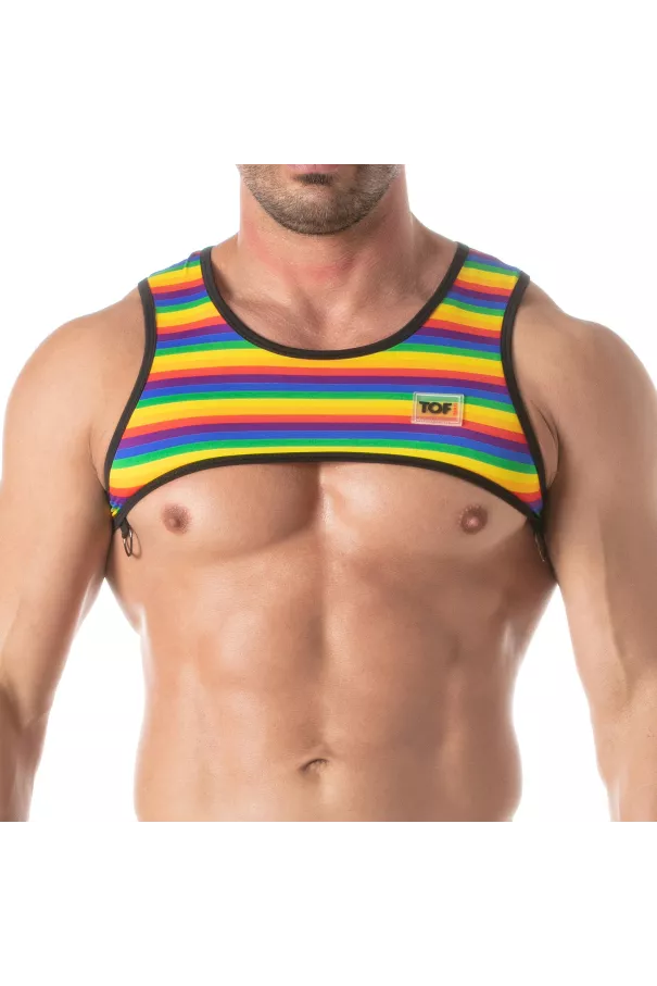 Rainbow Mens Harness