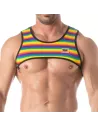 Rainbow Mens Harness