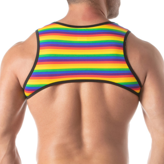 Rainbow Mens Harness from the back
