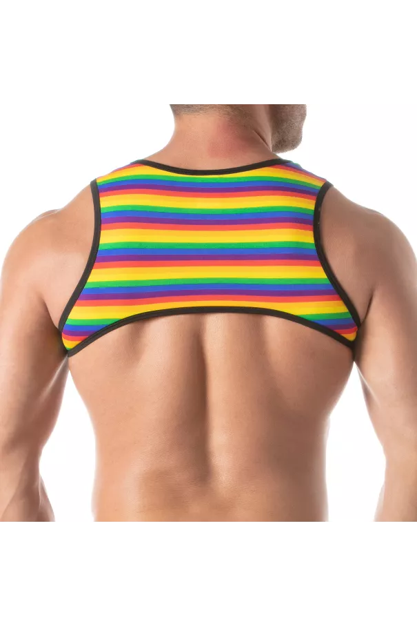 Rainbow Mens Harness from the back