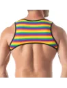 Rainbow Mens Harness from the back