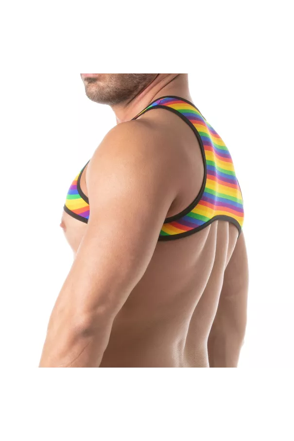 Rainbow Mens Harness from sideway