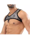 Roman Harness